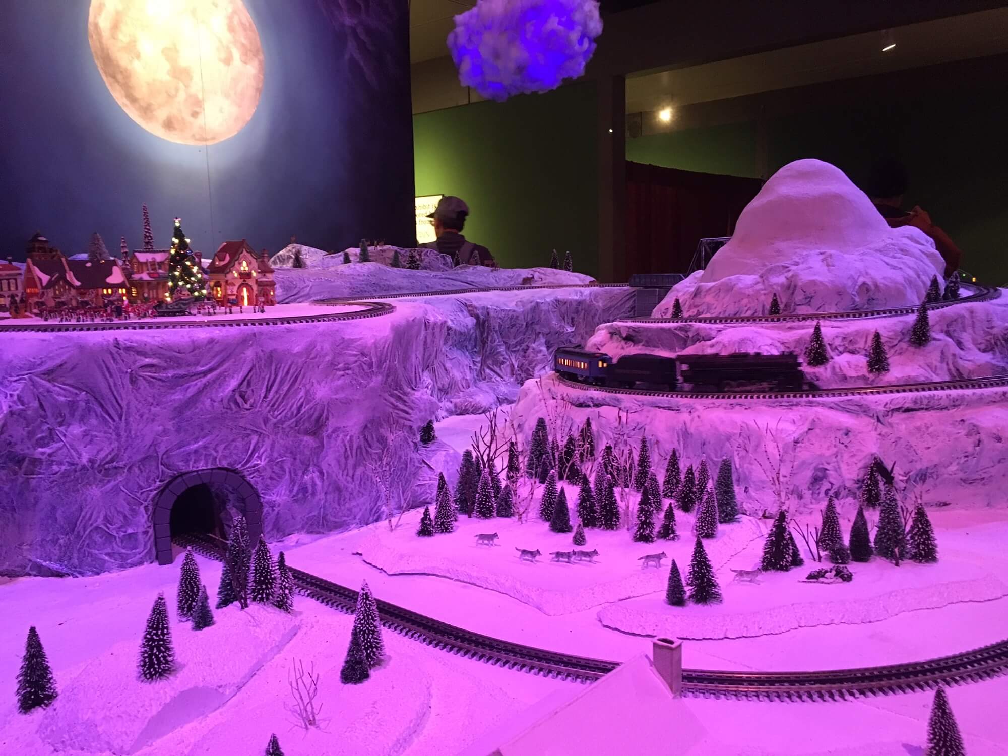 "Best Christmas Lights in South Carolina" By Travel+Leisure VRNMB