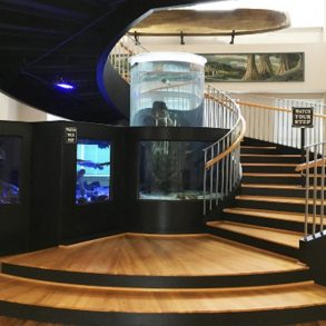 Horry-County-Museum-Beach-Gallery-Fish Tank