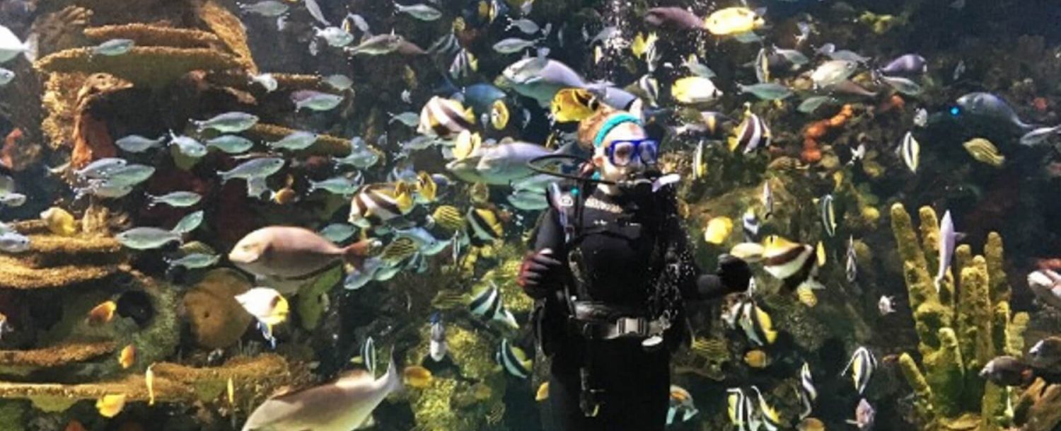 Ripleys Aquarium | diver in tank