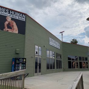 VRNMB-Bodies-Human-Exterior