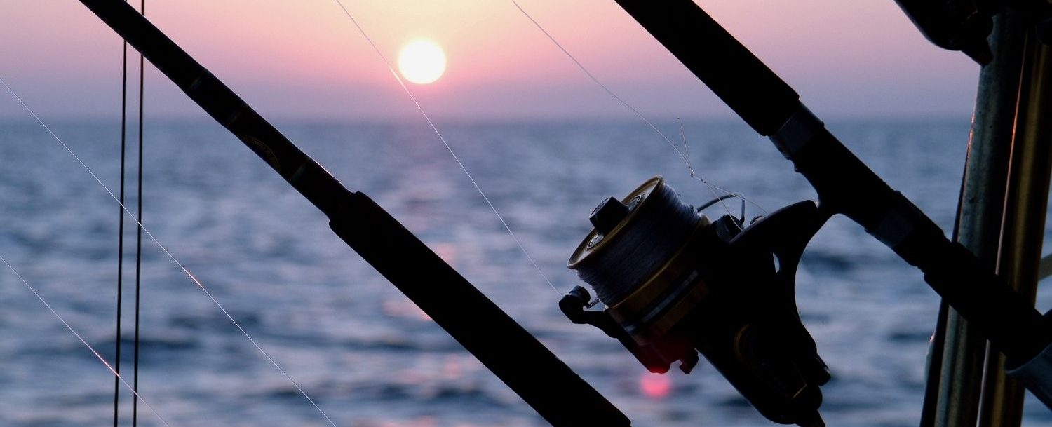 Fishing rod with sunset and ocean in the background.