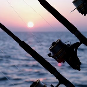 Fishing rod with sunset and ocean in the background.