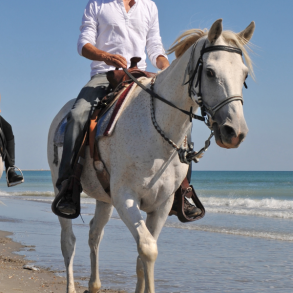 horseback riding on the beach