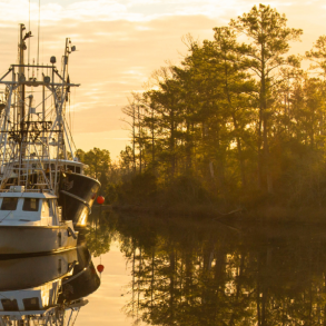 Shrimp boats