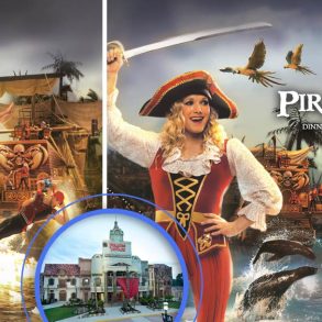 Pirates Voyage Dinner & Show