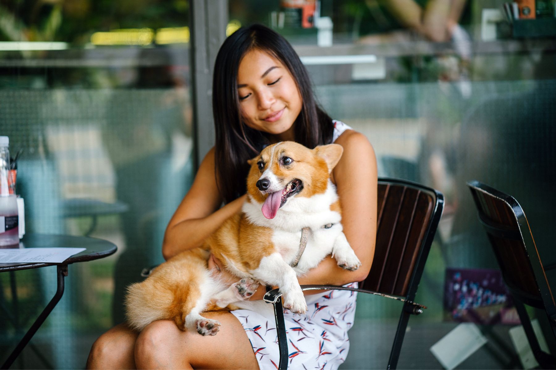 dog at restaurant