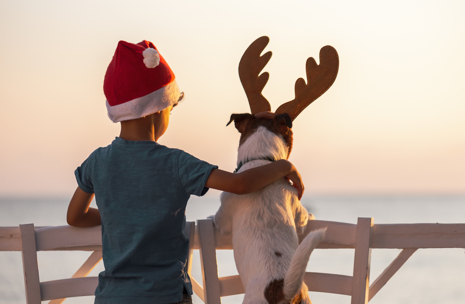 Christmas on a beach concept with boy wearing Santa Clause hat and dog with reindeer antlers headband