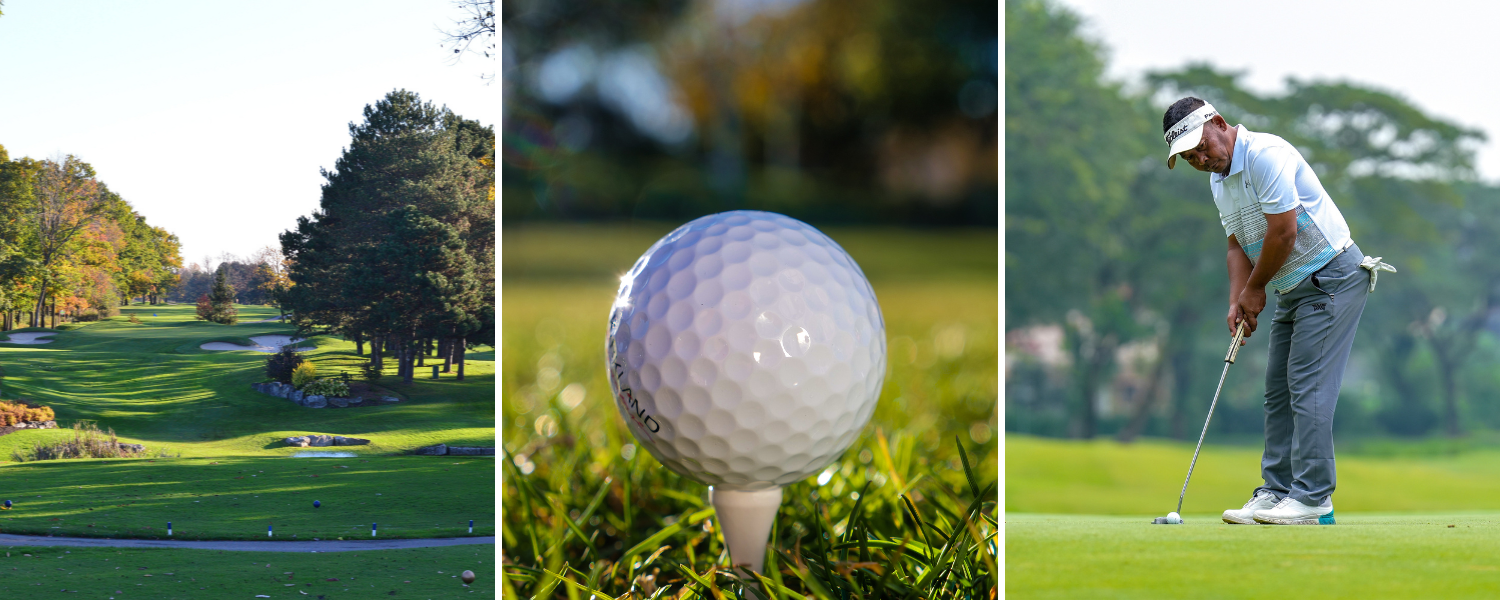 grid images of golf