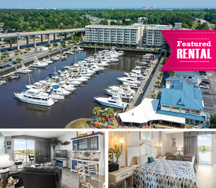 Harbourgate Marina #312