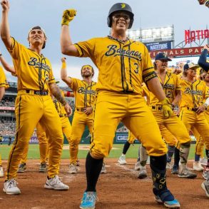 Savannah Bananas-Style Baseball Conway, SC