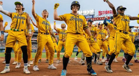 Savannah Bananas-Style Baseball Conway, SC