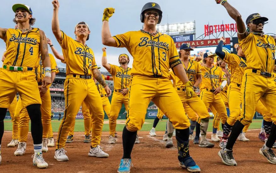 Savannah Bananas-Style Baseball Conway, SC