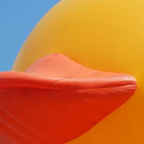 The World’s Biggest Duck Returns to Myrtle Beach