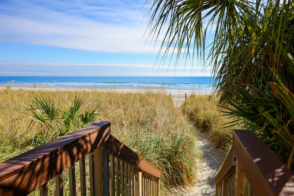 Wooden steps lead to a sandy path through coastal dunes and palm trees along the Grand Strand beach at North Myrtle Beach, South Carolina. 